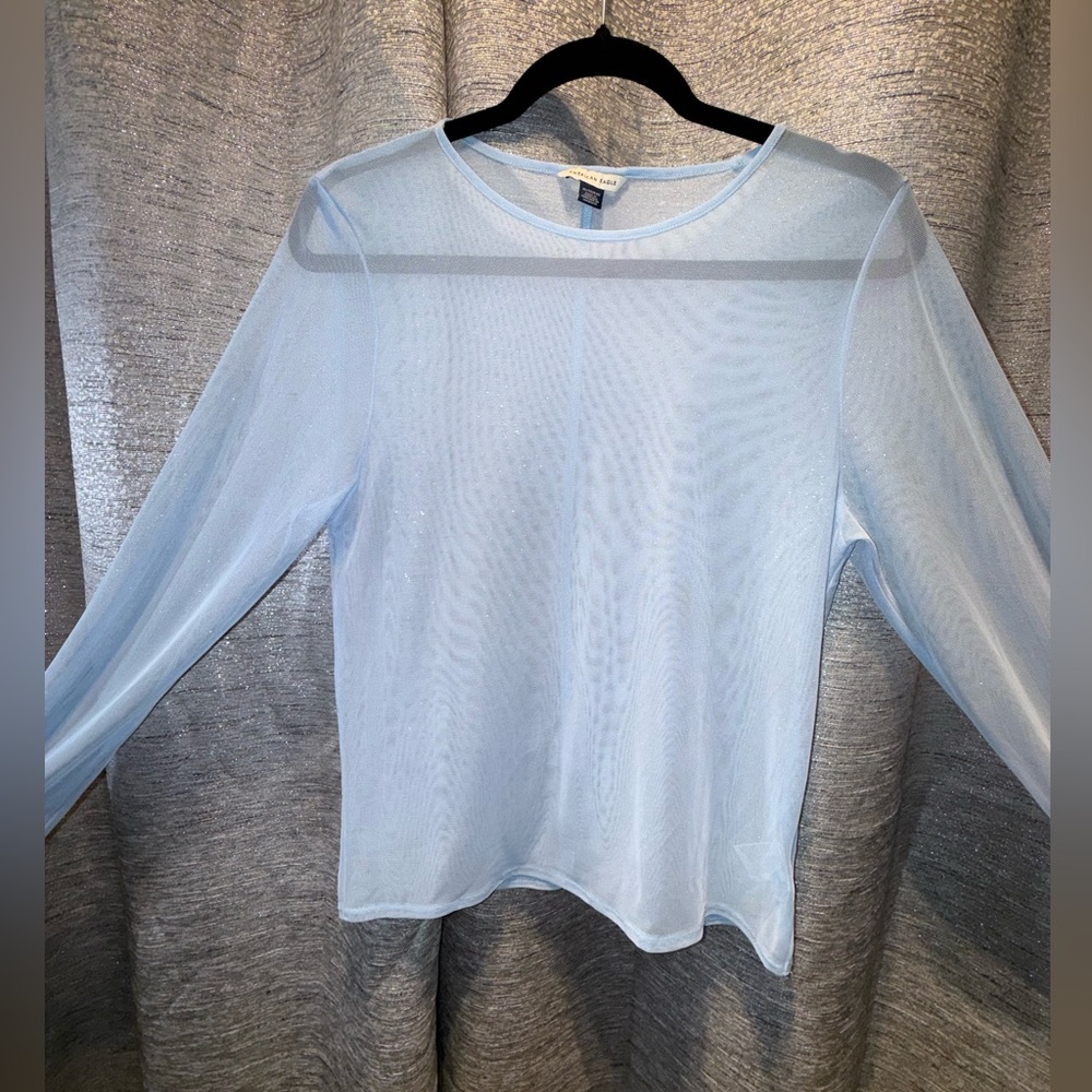 American Eagle Outfitters Light Blue Sheer Long Sleeve Top